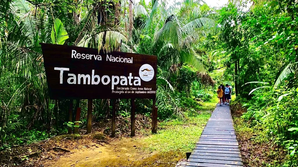 Reserva Tambopata, Colpas de Guacamayos y Manu - 1